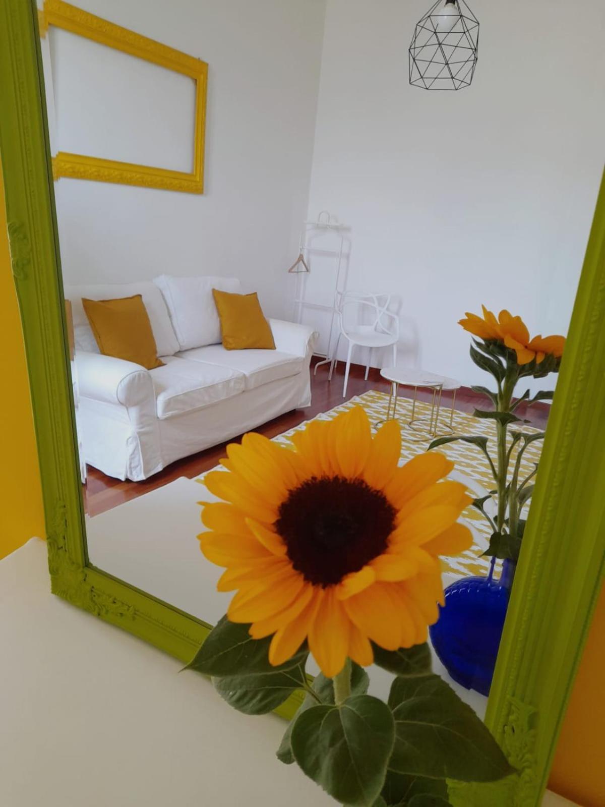 Sole Amare Guest House 巴里 外观 照片