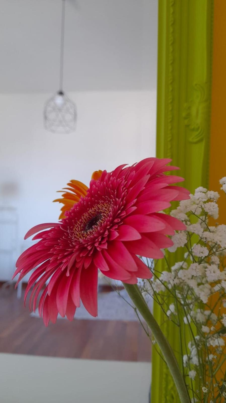 Sole Amare Guest House 巴里 外观 照片